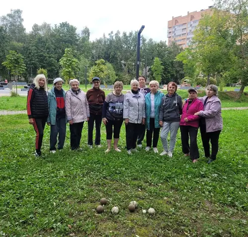 Фотография: (Турнир по бочче среди представителей старшего поколения Московского района)