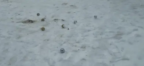 Фотография: (Турнир по петанку в Чагоде)